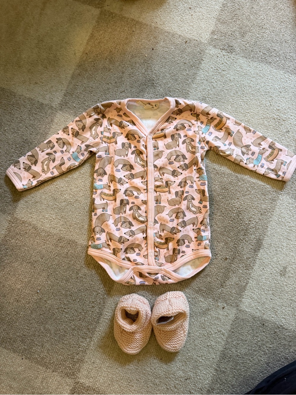 Baby Pink Long-Sleeve onsie Bodysuit with Dachshund print and matching slippers